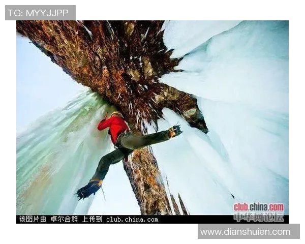 深圳极限运动队与杭州极限运动队赛后战术分析与复盘探讨 深圳极限运动队与杭州极限运动队赛后战术分析与复盘探讨