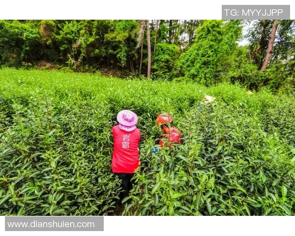 街舞传奇王强的成功之路与背后故事全揭秘 街舞传奇王强的成功之路与背后故事全揭秘