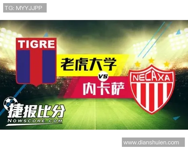 内卡萨与老虎大学激战正酣谁能在这场对决中笑到最后