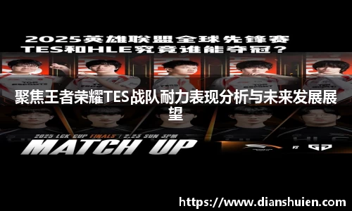 聚焦王者荣耀TES战队耐力表现分析与未来发展展望