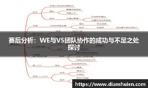 赛后分析：WE与V5团队协作的成功与不足之处探讨