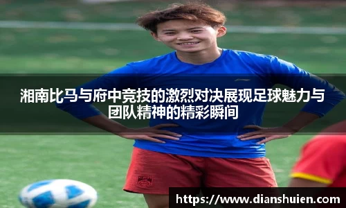 6T体育官方
